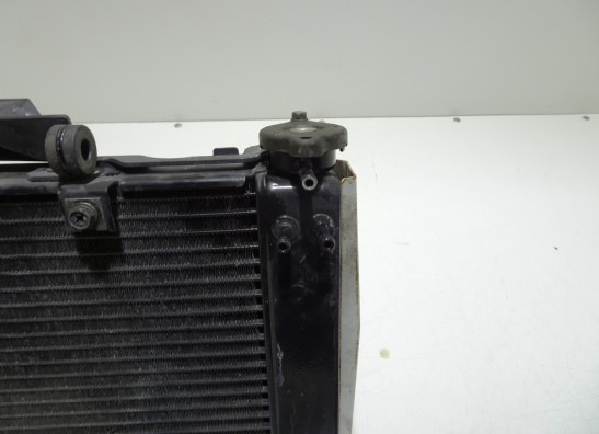 Radiateur Yamaha FZ6