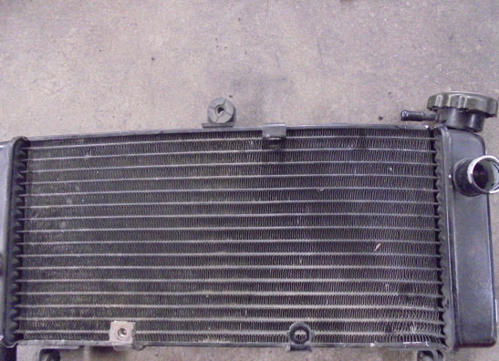 Radiateur Honda CB 600 F