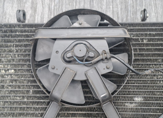 Radiator Yamaha FZR 1000