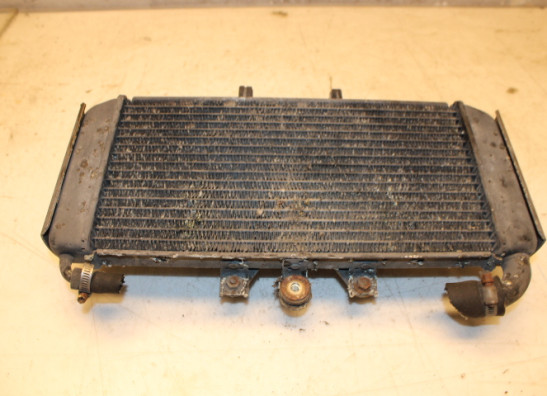 Radiateur Yamaha FAZER 600