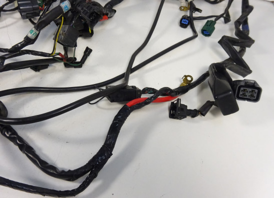 Kabelboom Triumph Street Triple 675