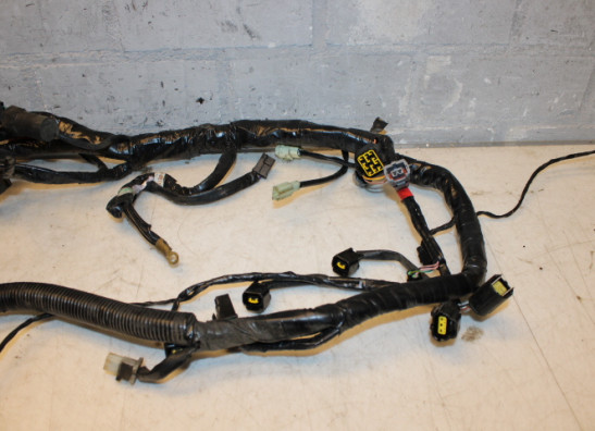 Wire Harness Triumph Sprint RS