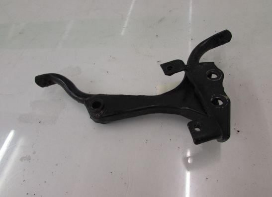 Sonstiges Kawasaki ZZR 250