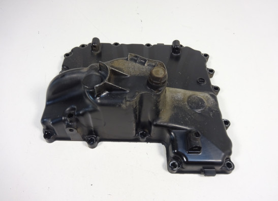 Carterpan Kawasaki Z 1000