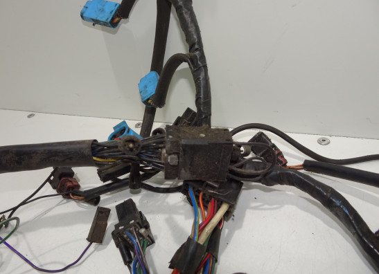 Kabelbaum Triumph Tiger 900