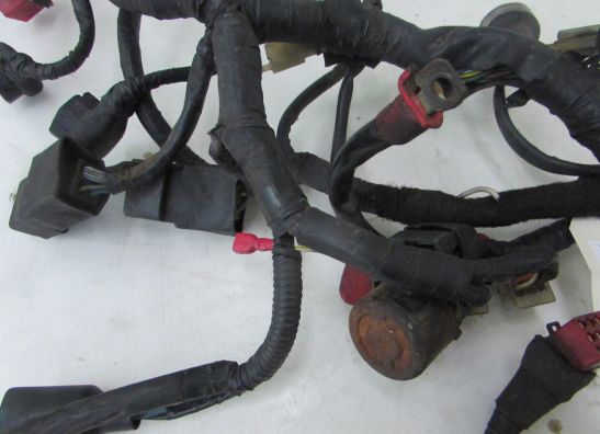 Kabelboom Honda CBX 750 F