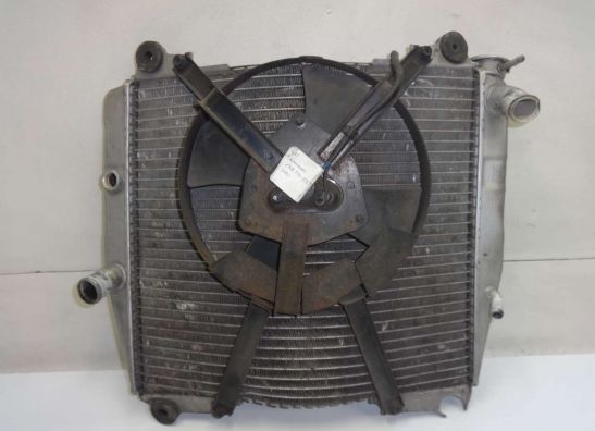 Kuhler Kawasaki ZXR 750