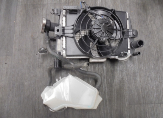 Radiateur BMW R 1200 GS LC 2013-2016, 2017-2018