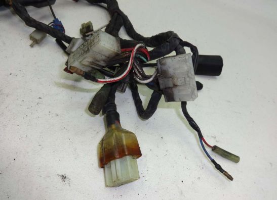 Kabelbaum Kawasaki GTR 1000