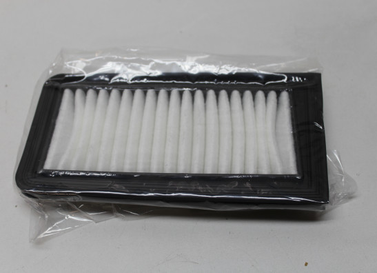 Air cleaner Suzuki Burgman 650