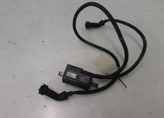 Bobine Yamaha XJ 900 S Diversion