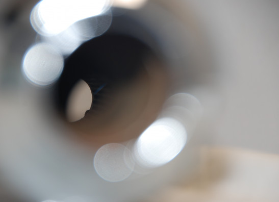 Sportdemper Harley Davidson Softtail