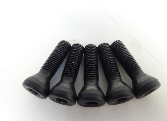 Achtervelg BMW F 800 S - ST