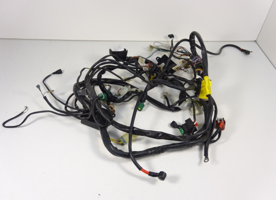 Wire Harness Aprilia Tuono 1000