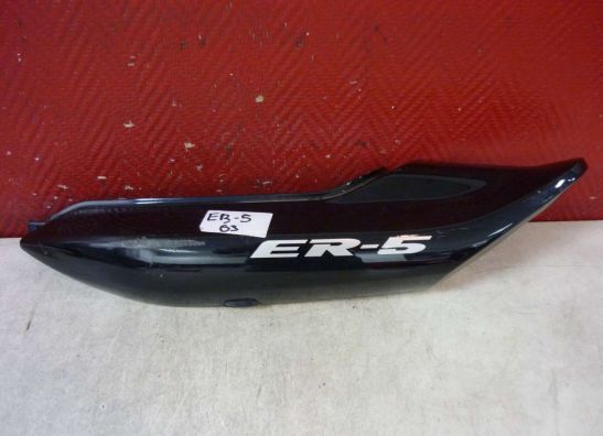 Heck links Kawasaki ER 5