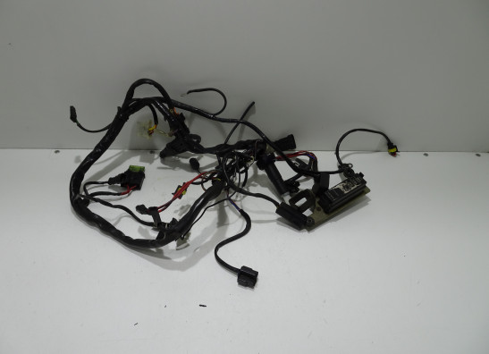 Kabelboom Ducati monster 900 1993-1999