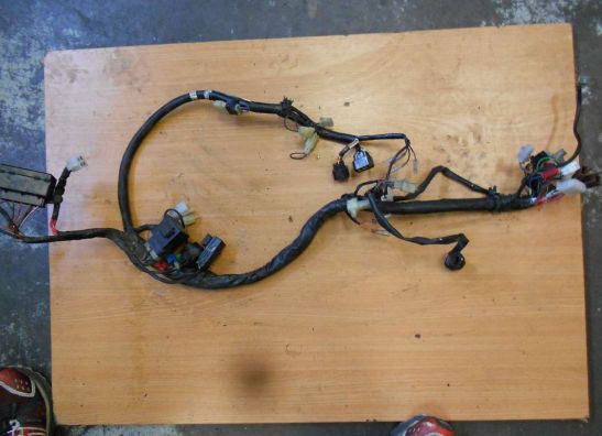 Wire Harness Yamaha FAZER 600