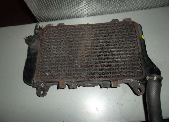 Radiateur Kawasaki ZZR 600