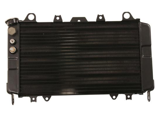 Radiator Yamaha FZR 1000