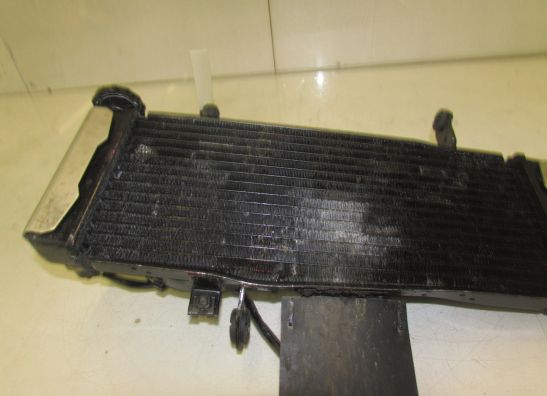 Radiateur Suzuki GSF 600 650 Bandit 