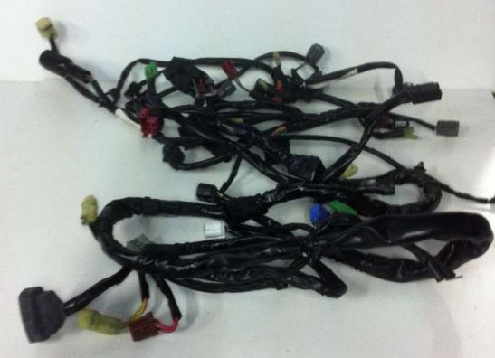 Wire Harness Honda CB 600 F