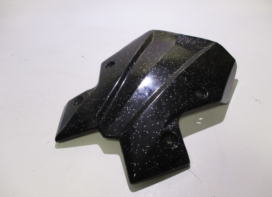 Windscreen Kawasaki Z 900