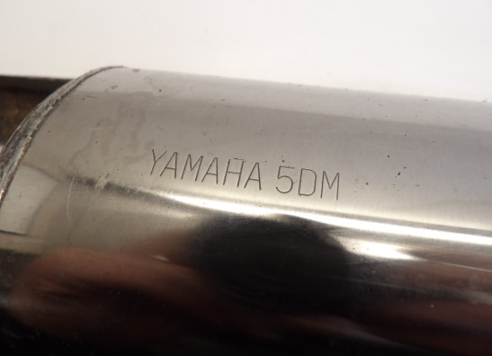 Auspuff Yamaha FAZER 600