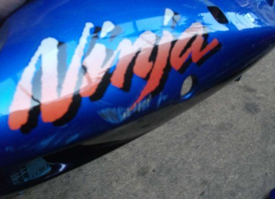 Heck Kawasaki ZX 9 R