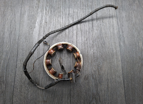 Dynamo Kawasaki KZ 900