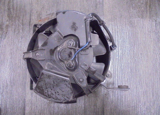 Lufter Suzuki VL 800