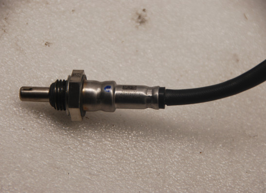 Lambda sensor Harley Davidson Softtail