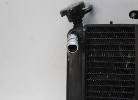 Radiateur Triumph Sprint GT 1050