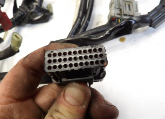 Kabelboom Honda CBR 600 F