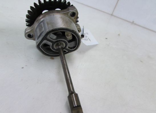 Engine parts Suzuki GSX R 1000