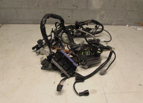 Kabelboom KTM 990 SM + SMT