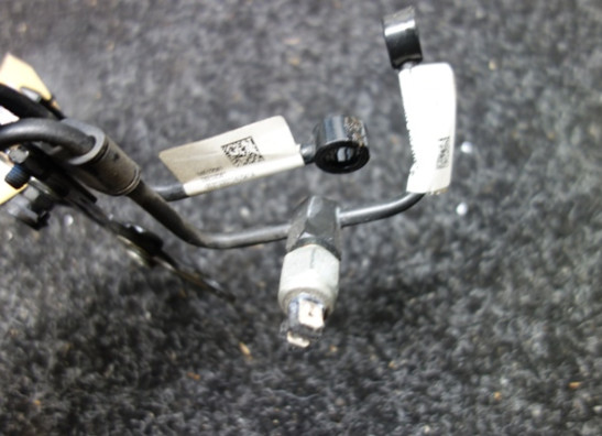 Achter remklauw Harley Davidson Pan America