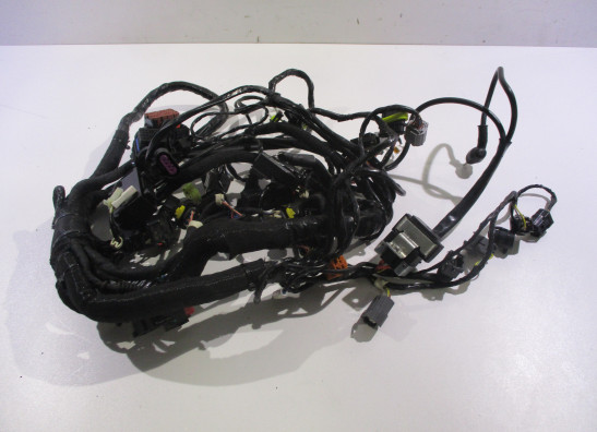 Kabelboom MV Agusta 675 Brutale