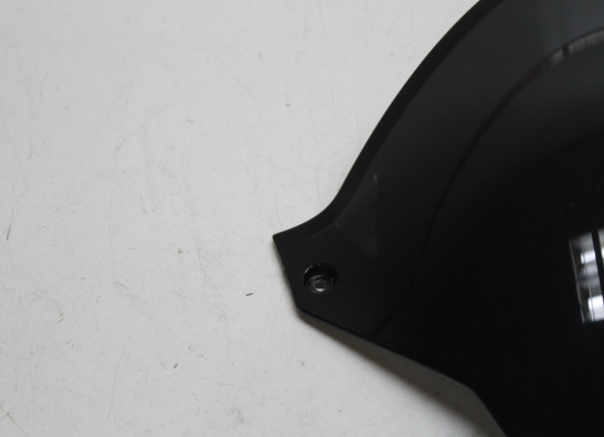 Scheibe Windschild Aprilia Tuono 660