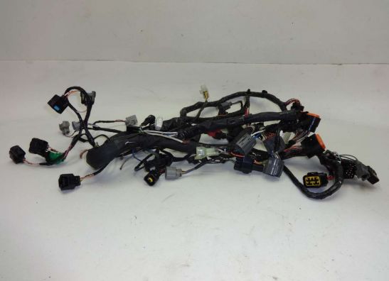 Wire Harness Kawasaki ZX 6 R