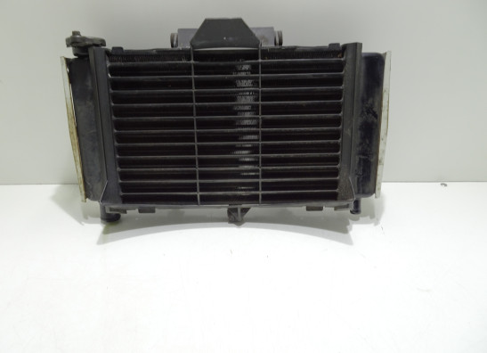 Radiator Yamaha FZ6