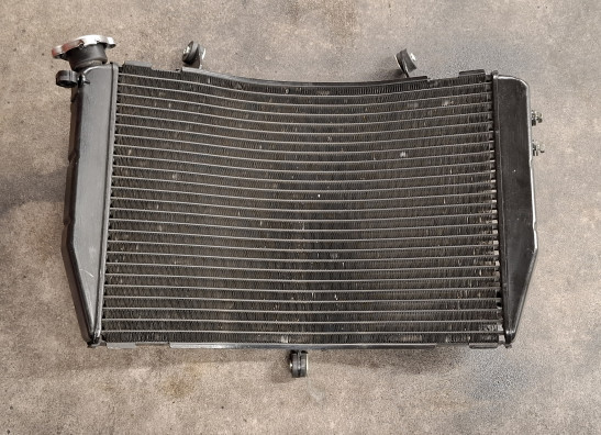 Radiator Yamaha YZF R1