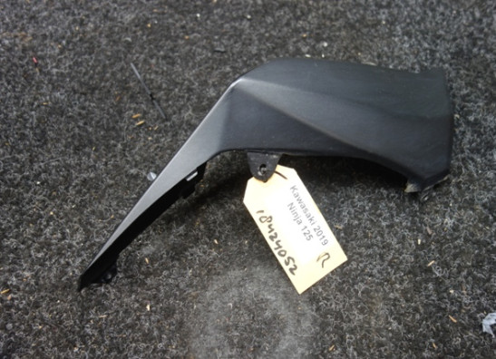 Seitenverkleidung rechts klein Kawasaki Ninja 125