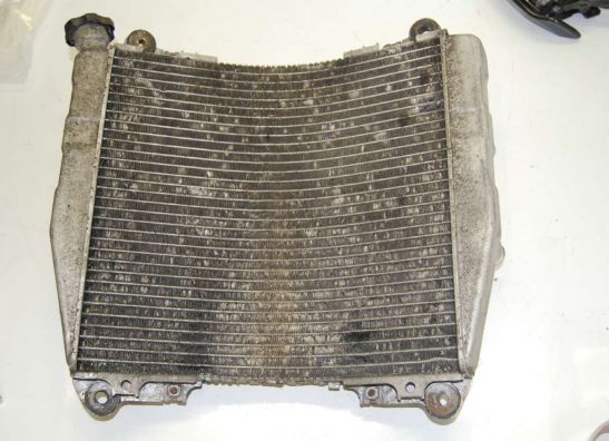 Kuhler Kawasaki ZXR 750