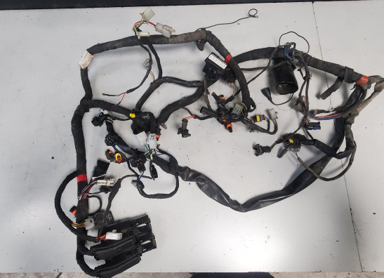 Kabelboom Aprilia Tuono 1000
