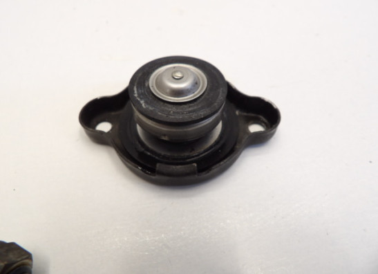 Kuhler Teile Yamaha TDM