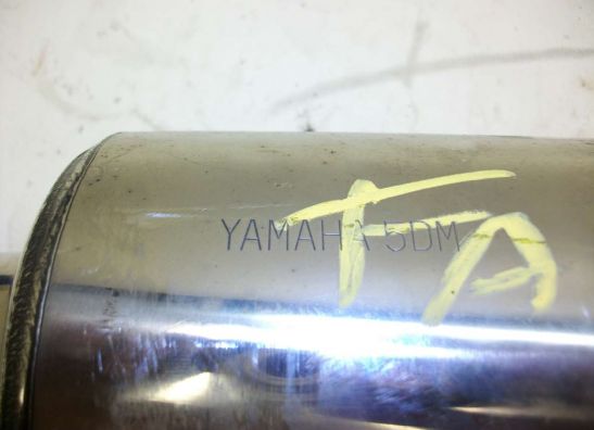 Auspuff Yamaha FAZER 600