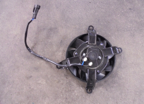 Fan Benelli TRK 702