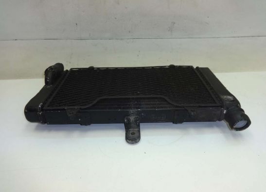 Kuhler Honda CBR 1000 F