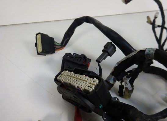 Kabelboom Ducati monster 1100