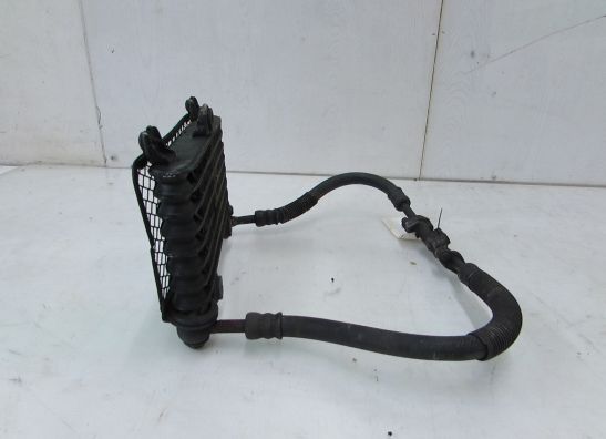 Olkuhler Kawasaki GPX 750